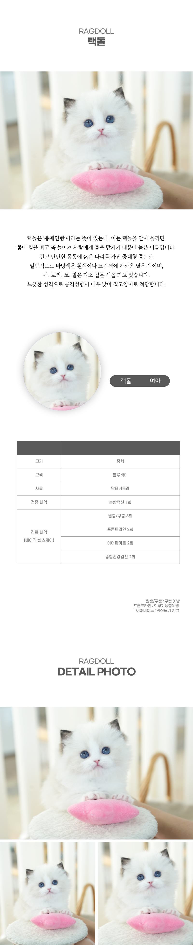 랙돌_상세이미지_2